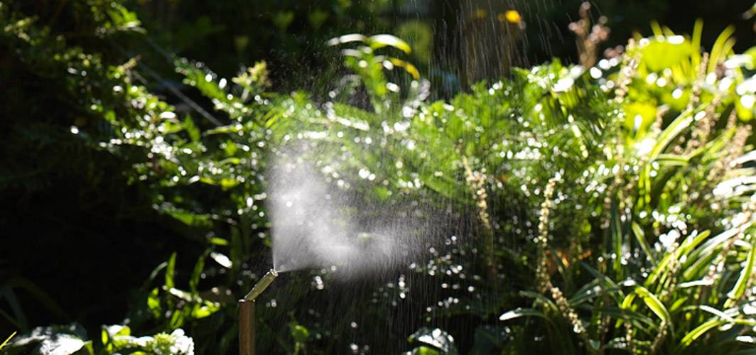 Top Tips for Maintaining Mosquito Misting Systems